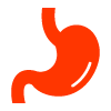 stomach icon in vibrant red color representing digestive health and wellness tips about food and 2 supporting factors